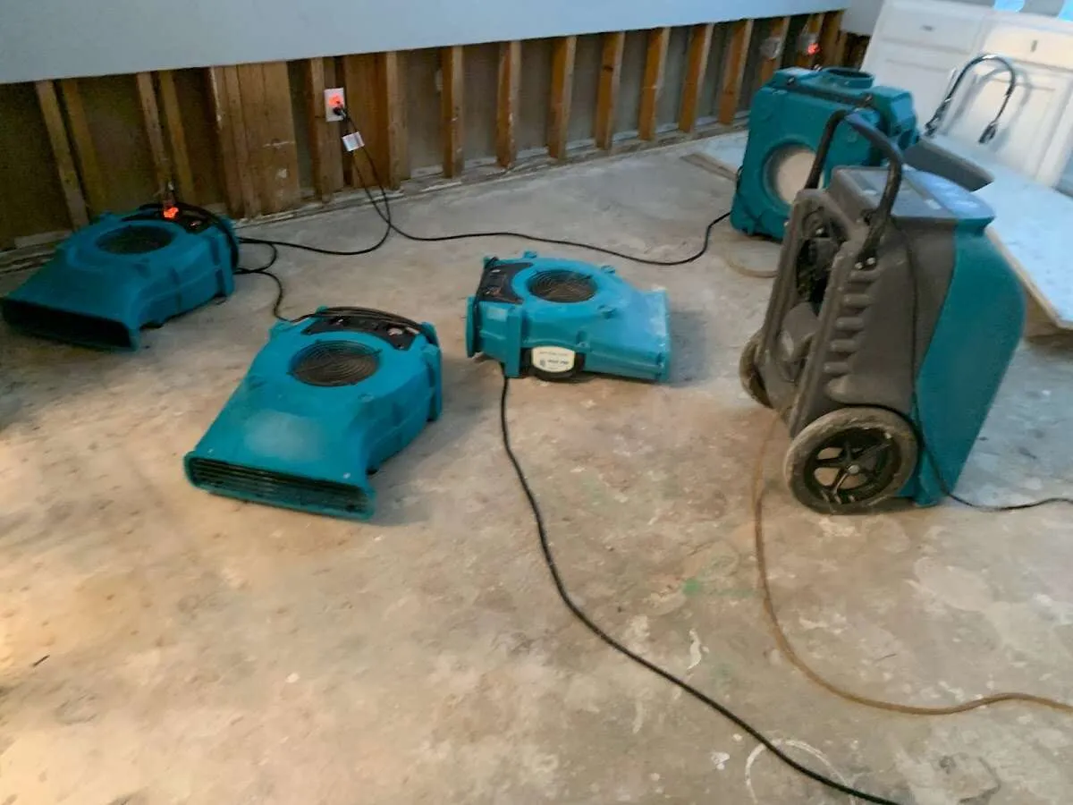 Drying & Dehumidification in Eagleton Village, TN